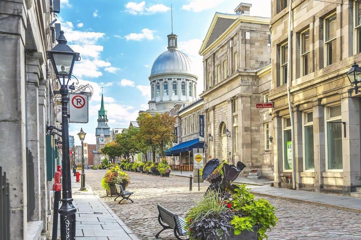 M11 Bright Studio In The Heart Of Mtl مونتريال المظهر الخارجي الصورة